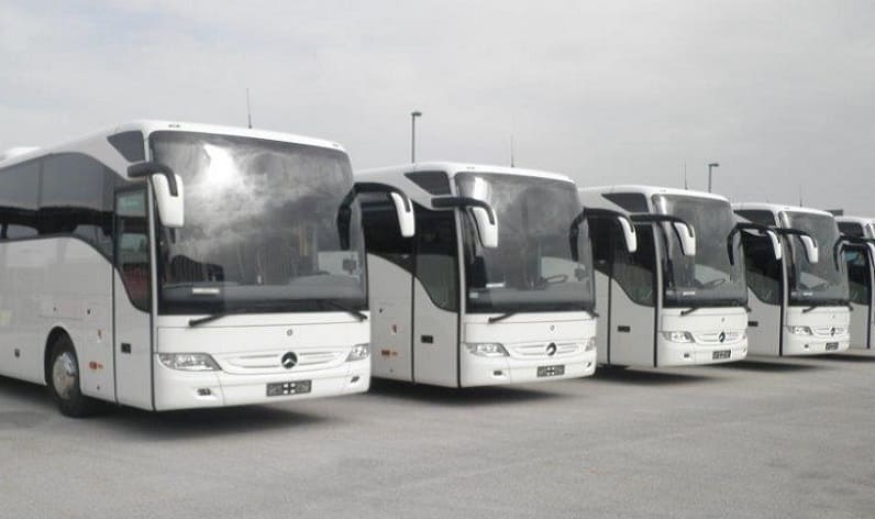 Nouvelle-Aquitaine: Bus company in Dax in Dax and France