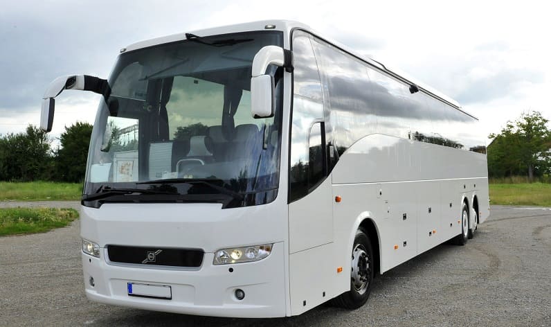 France: Buses agency in Nouvelle-Aquitaine in Nouvelle-Aquitaine and Biarritz