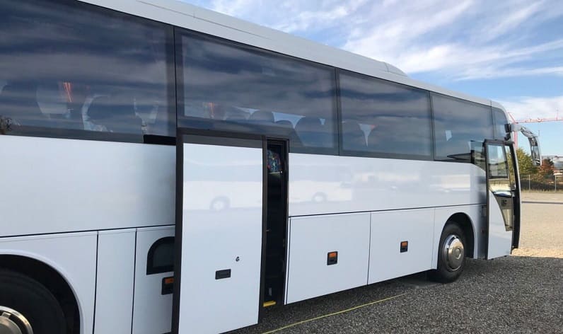 Basque Country: Buses reservation in Vitoria-Gasteiz in Vitoria-Gasteiz and Spain
