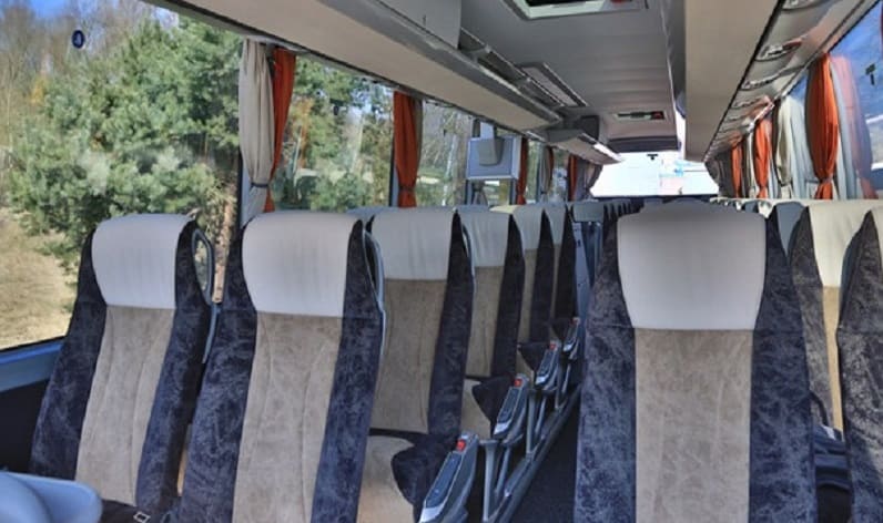 France: Coach charter in Nouvelle-Aquitaine in Nouvelle-Aquitaine and Bordeaux