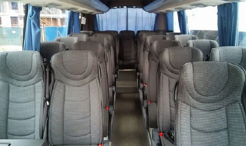 France: Coach hire in Nouvelle-Aquitaine in Nouvelle-Aquitaine and Dax